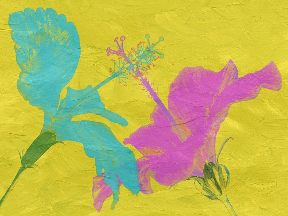 Wall Art Painting id:306273, Name: Colored Hib, Artist: Phillip, Jamie