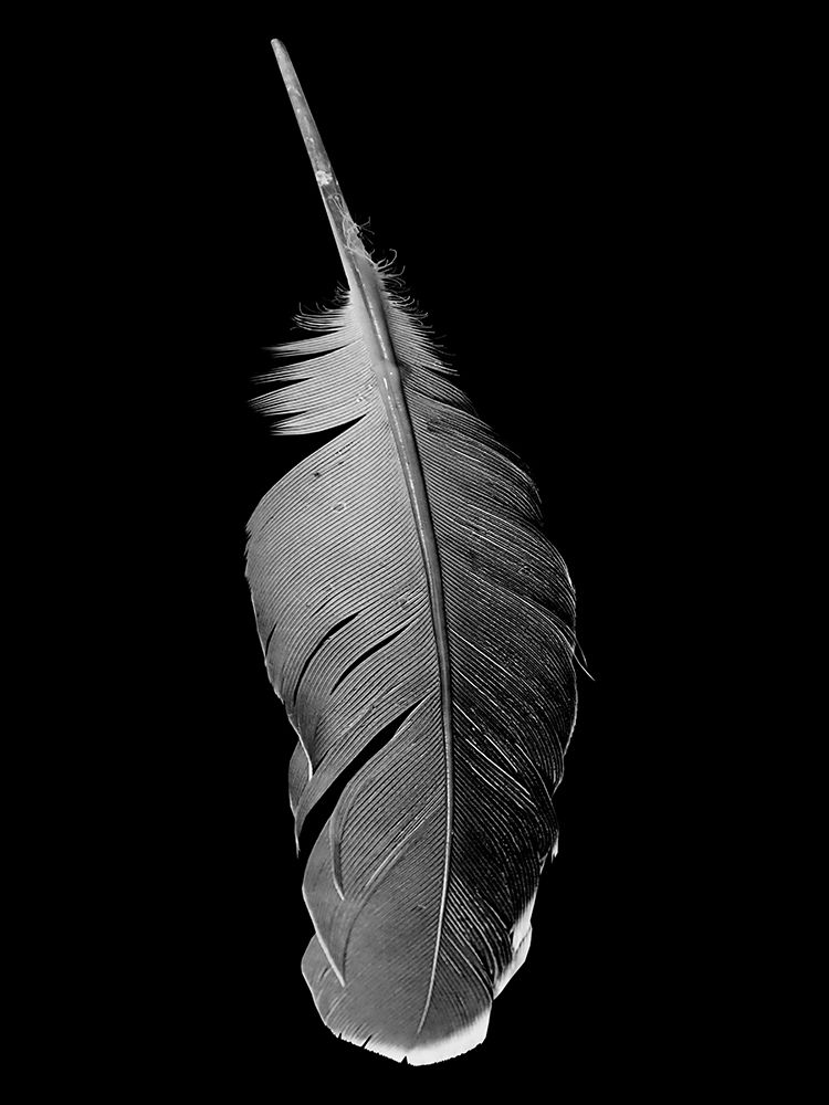 Similar wall art painting: 326983