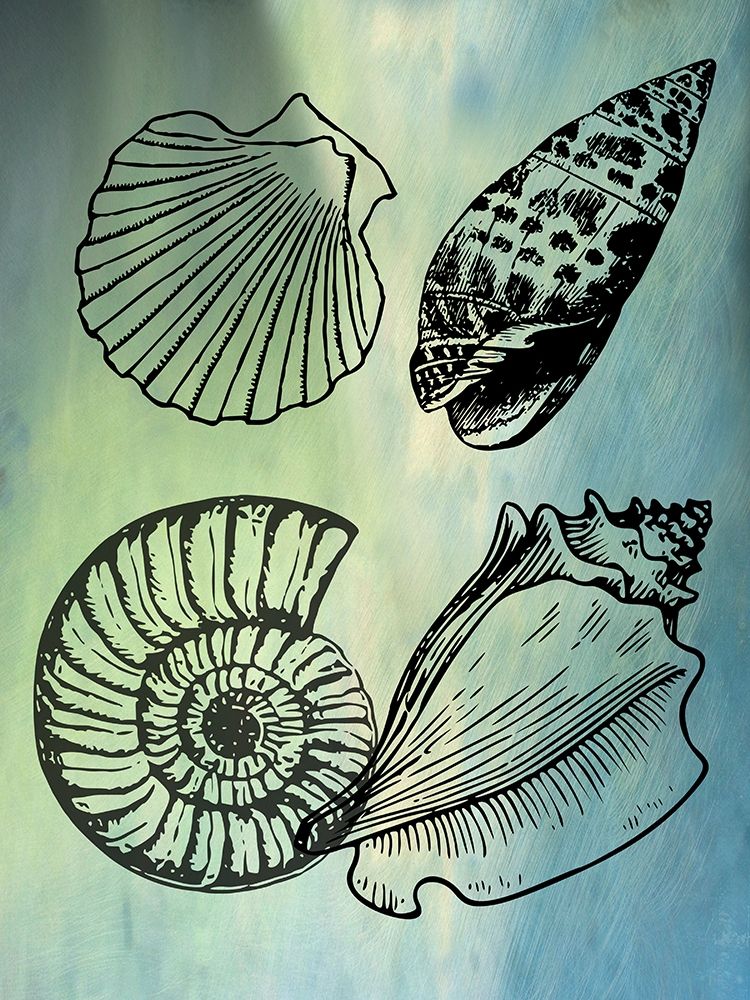 Wall Art Painting id:306290, Name: Bath SheIls, Artist: Phillip, Jamie