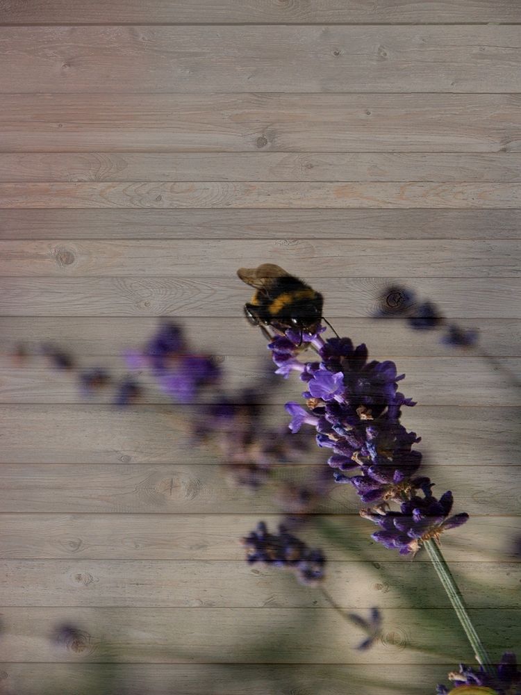 Similar wall art painting: 306410