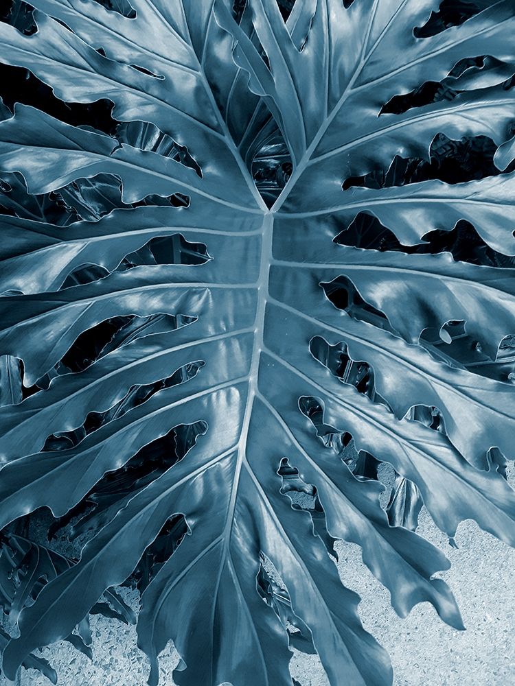 Similar wall art painting: 306417