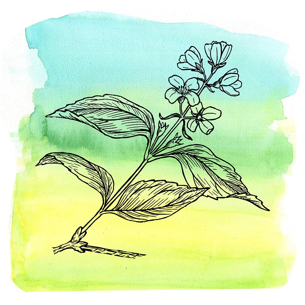 Similar wall art painting: 539703