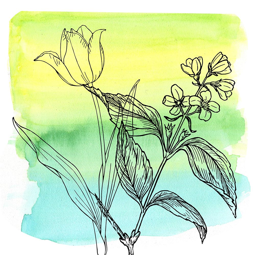 Wall Art Painting id:539704, Name: Garden In Bloom 2, Artist: Phillip, Jamie