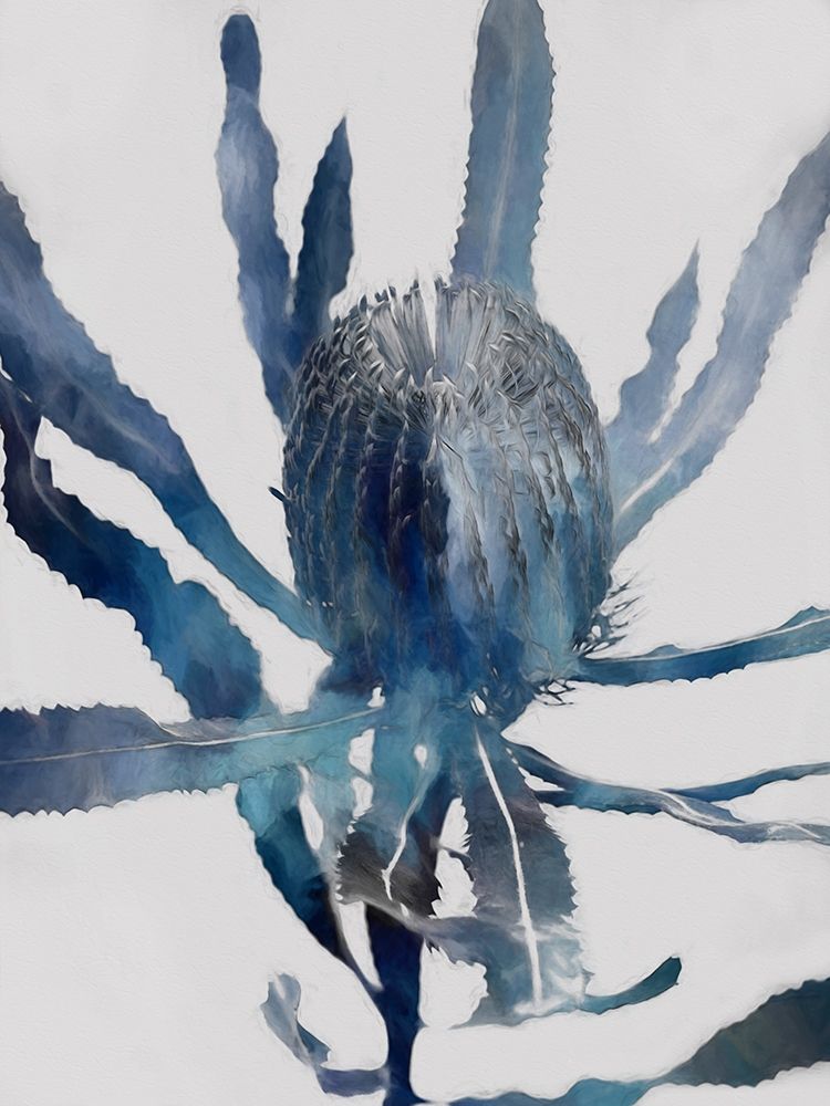 Art Print: From the Ashes I