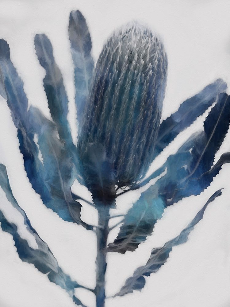 Art Print: From the Ashes II