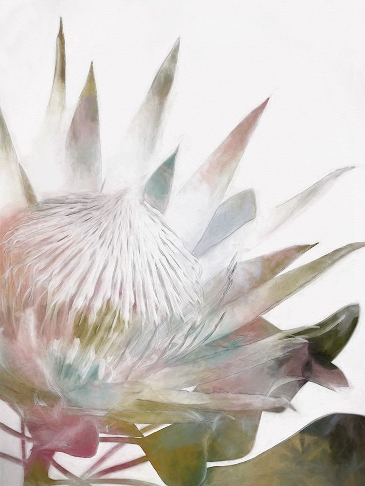 Art Print: Sugar Bush I