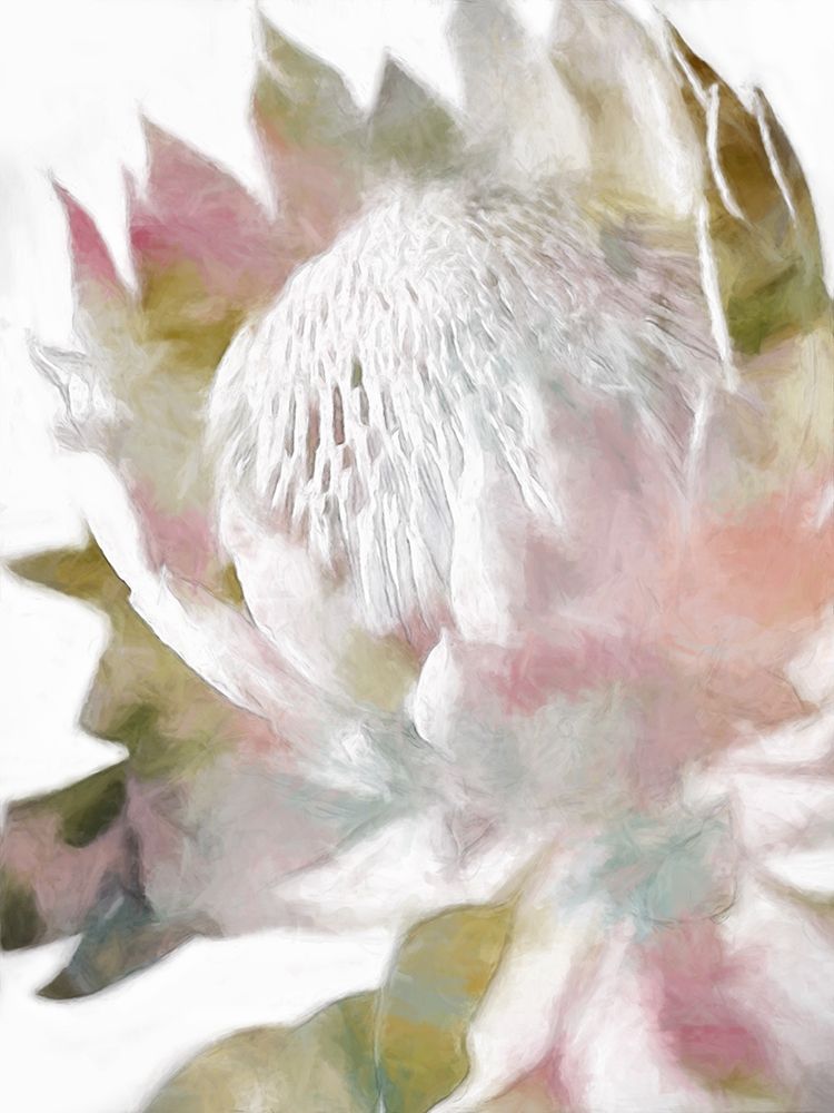 Art Print: Sugar Bush II