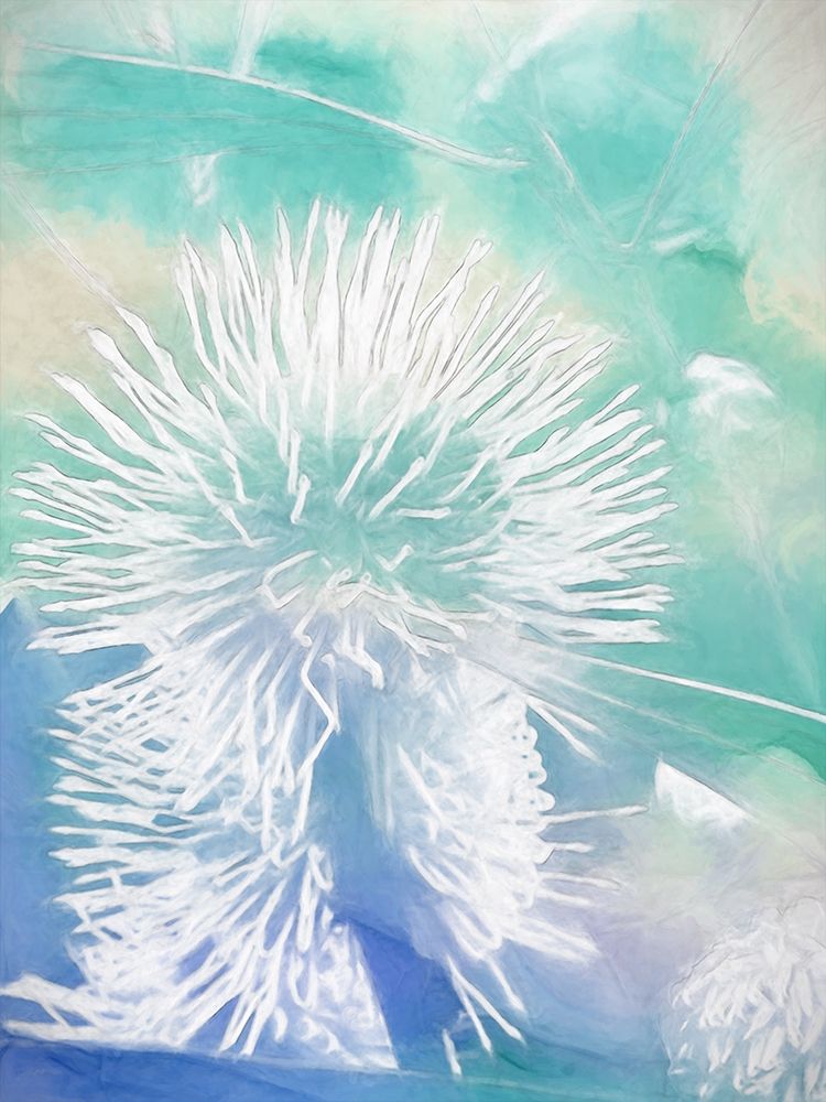 Art Print: Make A Wish I