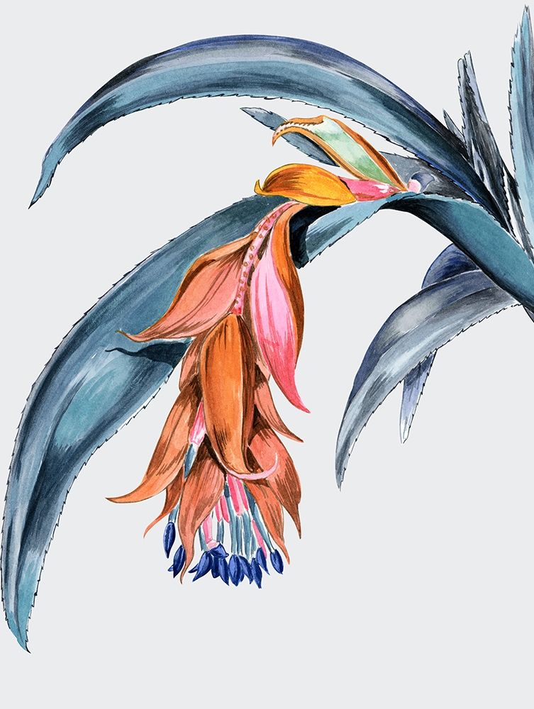 Art Print: Crimson Bloom