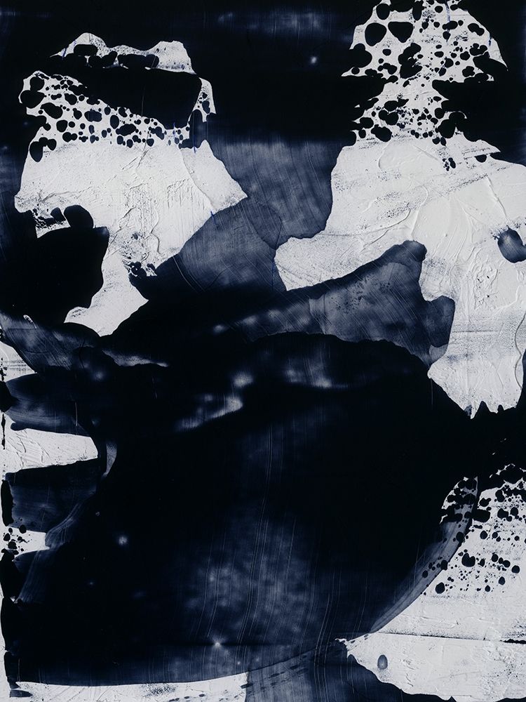 Wall Art Painting id:310775, Name: Dark Horse II, Artist: Urban Road