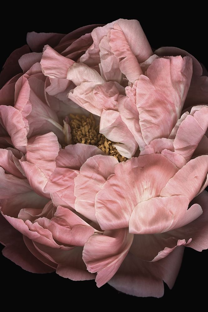 Wall Art Painting id:310733, Name: Hopeful I, Artist: Urban Road