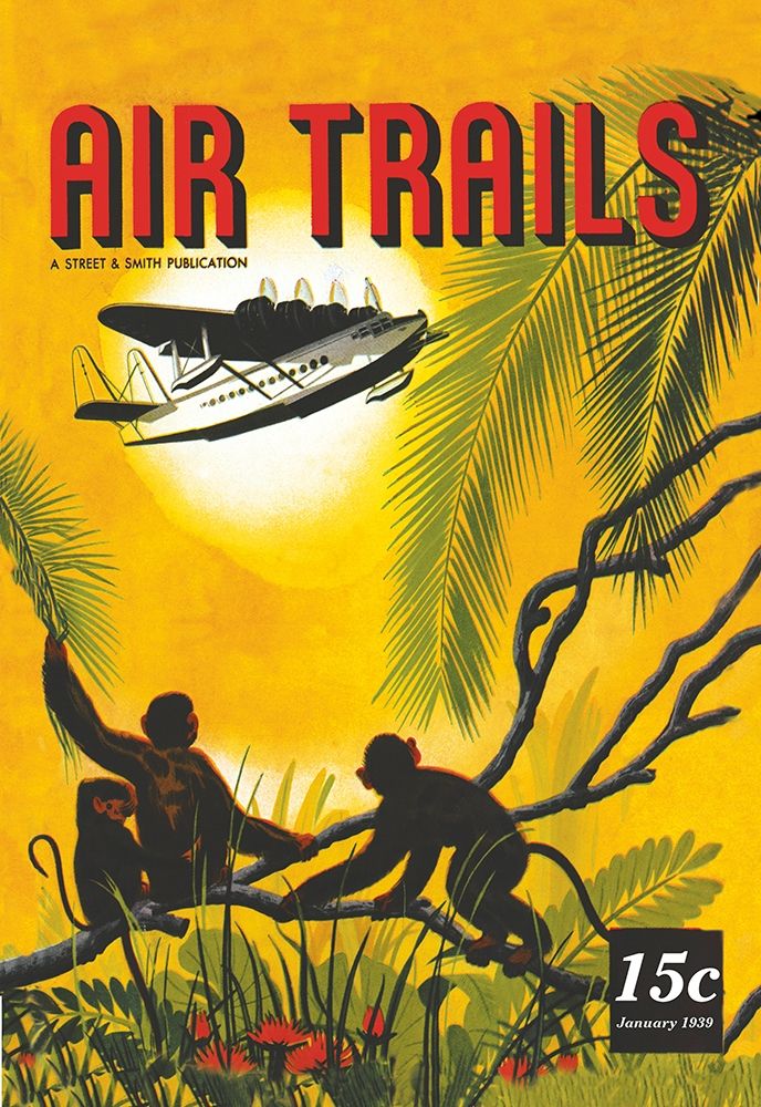 Wall Art Painting id:347074, Name: Seaplane Over the Tropics, Artist: Unknown