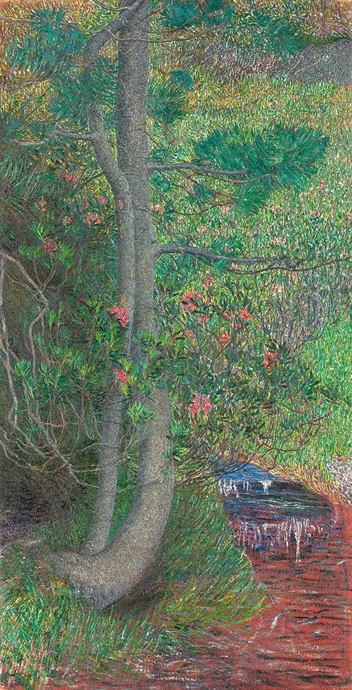 Art Print: Pine Tree