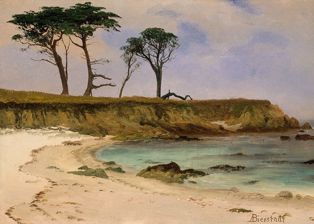 Wall Art Painting id:353194, Name: Sea Cove, Artist: Bierstadt, Albert