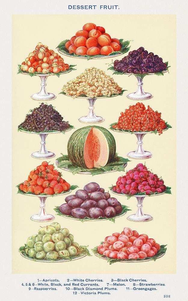 Wall Art Painting id:360520, Name: Dessert Fruit, Artist: Mrs. Beetons Book of Household Management