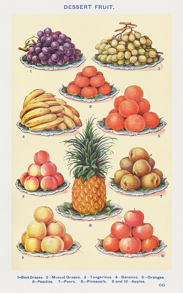Wall Art Painting id:360522, Name: Dessert Fruit, Artist: Mrs. Beetons Book of Household Management