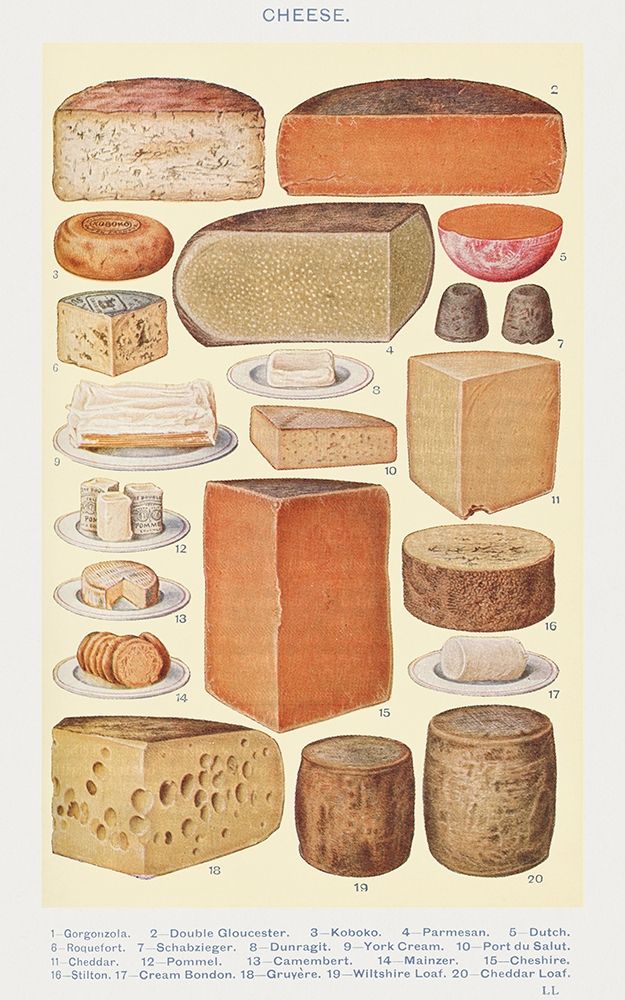 Wall Art Painting id:360527, Name: Cheeses, Artist: Mrs. Beetons Book of Household Management