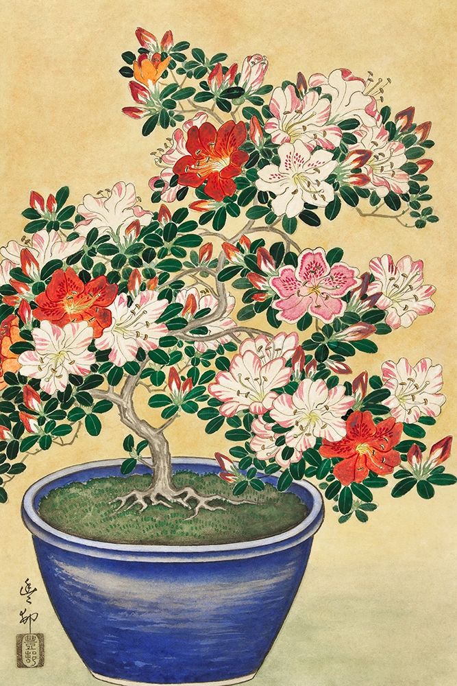 Wall Art Painting id:360851, Name: Blooming azalea in blue pot, Artist: Koson, Ohara