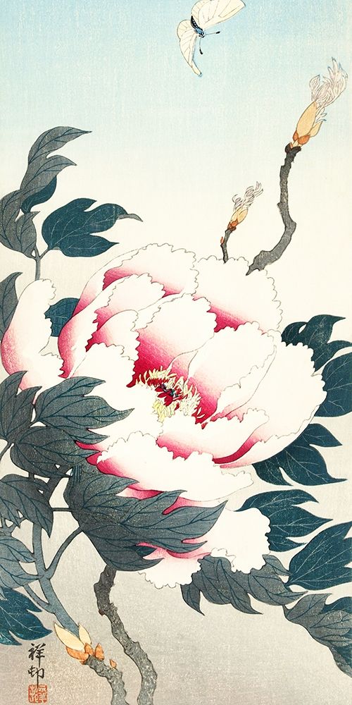 Wall Art Painting id:360892, Name: Peony with butterfly, Artist: Koson, Ohara