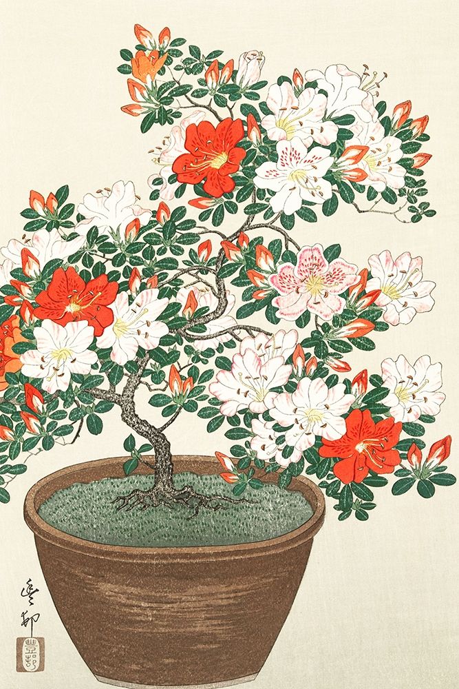 Wall Art Painting id:360903, Name: Blooming azalea in brown pot, Artist: Koson, Ohara