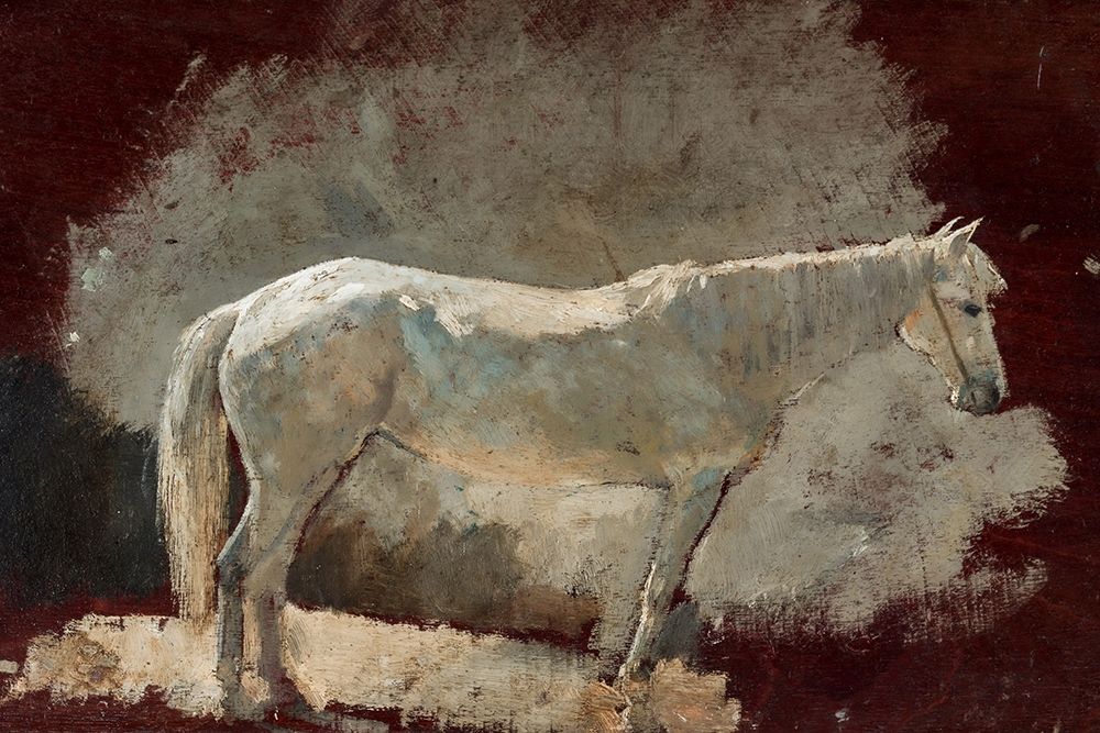 Art Print: White Mare