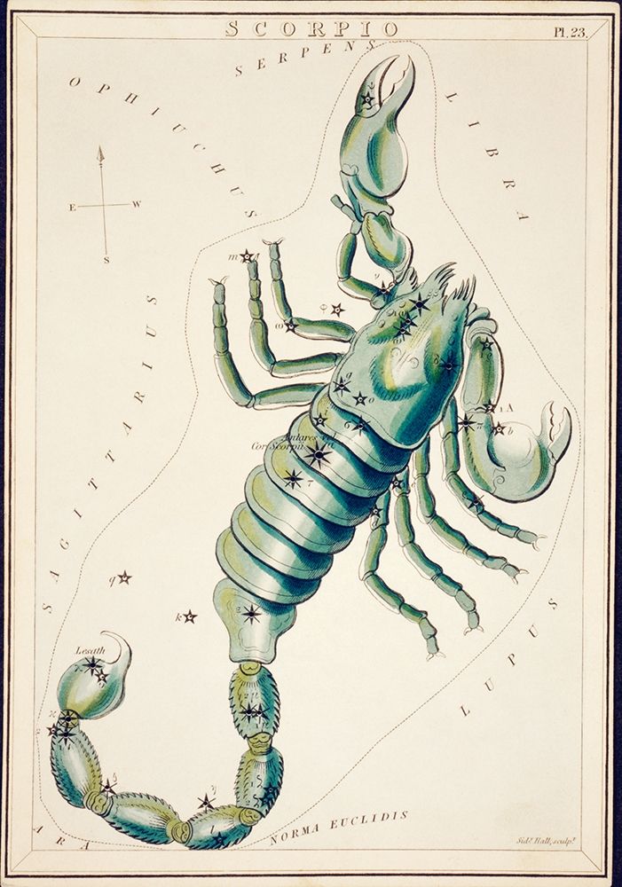 Wall Art Painting id:419925, Name: Astronomical chart illustration of the Scorpio, Artist: Library of Congress
