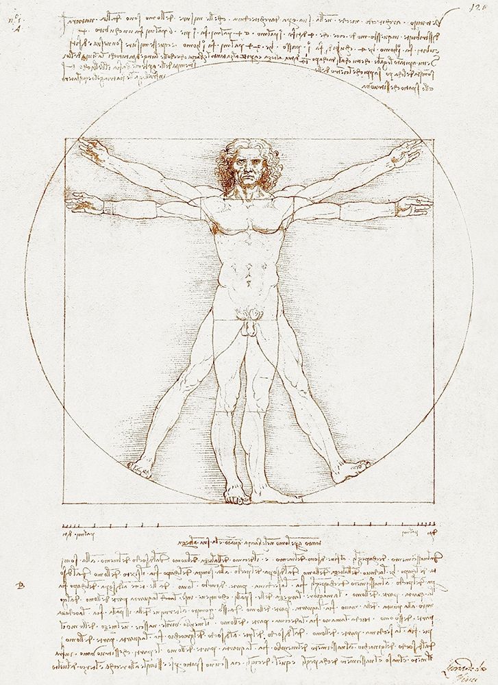Wall Art Painting id:434123, Name: Vitruvian Man, Artist: da Vinci, Leonardo