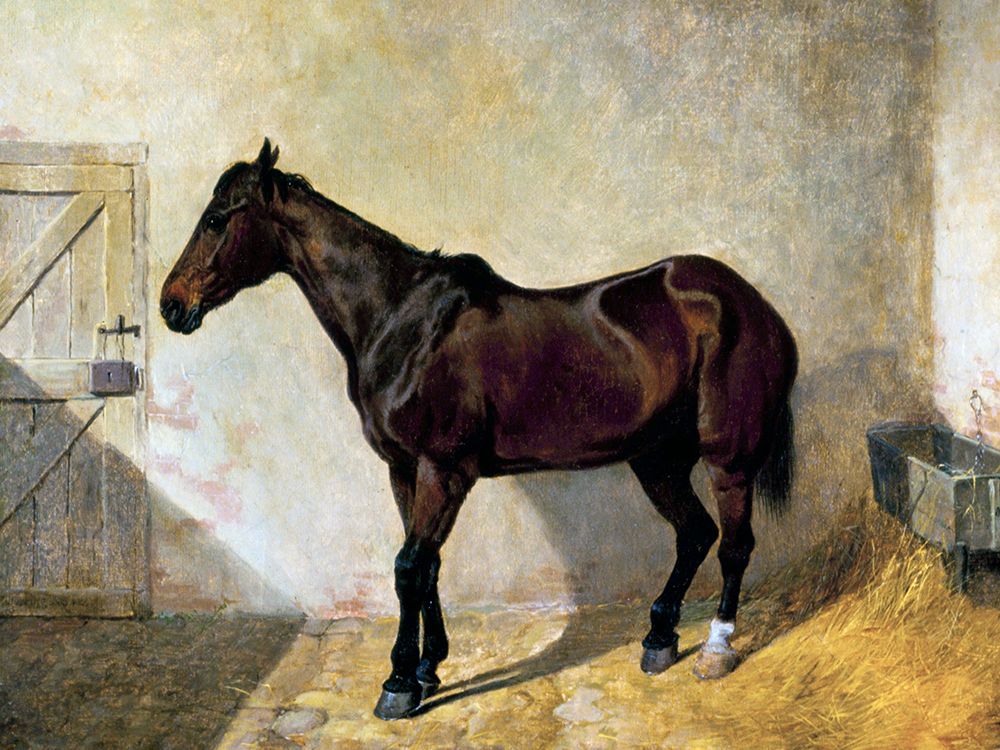 Wall Art Painting id:439574, Name: Horse, Artist: Herring, John Frederick