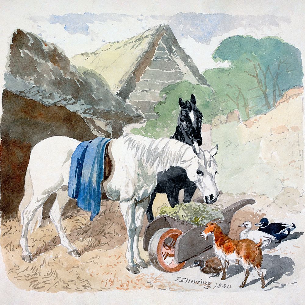 Art Print: Two Horses Eating From a Wheel-Barrow Watched by a Goat and Three Ducks