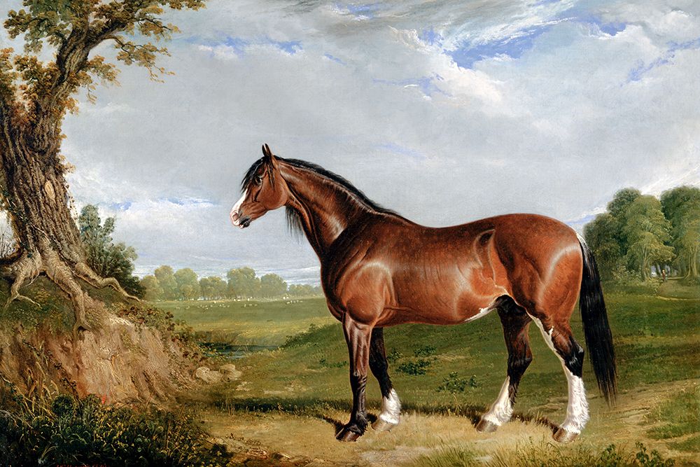 Wall Art Painting id:439577, Name: A Clydesdale Stallion, Artist: Herring, John Frederick