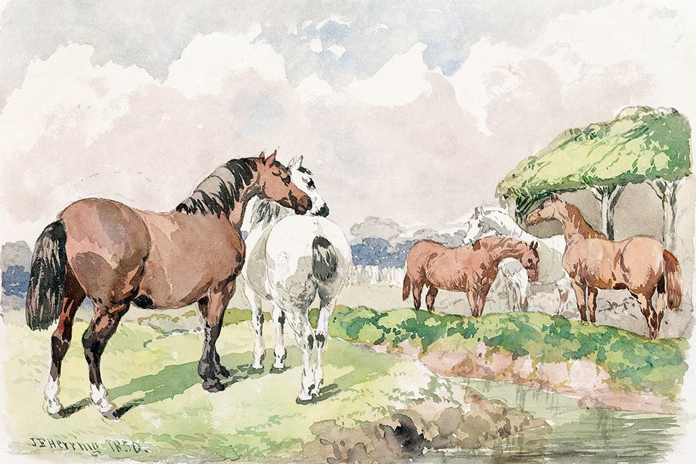 Wall Art Painting id:439594, Name: Five Horses near a Brook, Artist: Herring, John Frederick