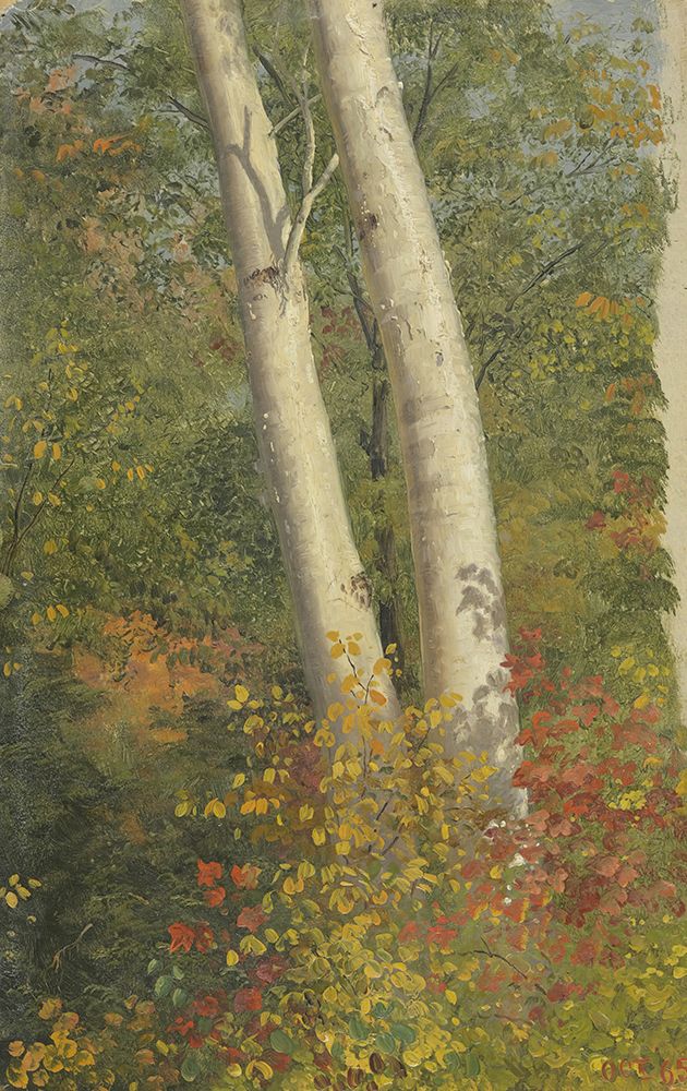 Art Print: Birch Trees in Autumn 1865