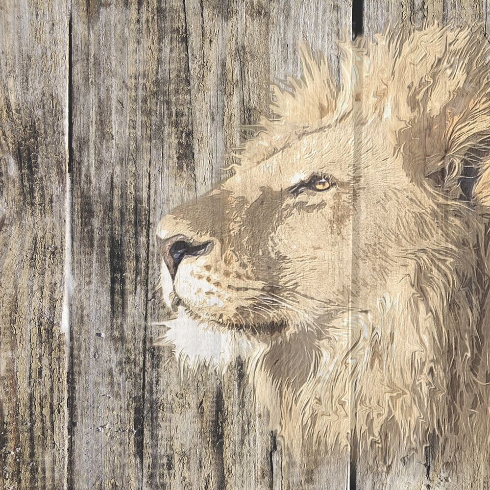 Wall Art Painting id:410723, Name: Wildheads Lion, Artist: Smith, Karen