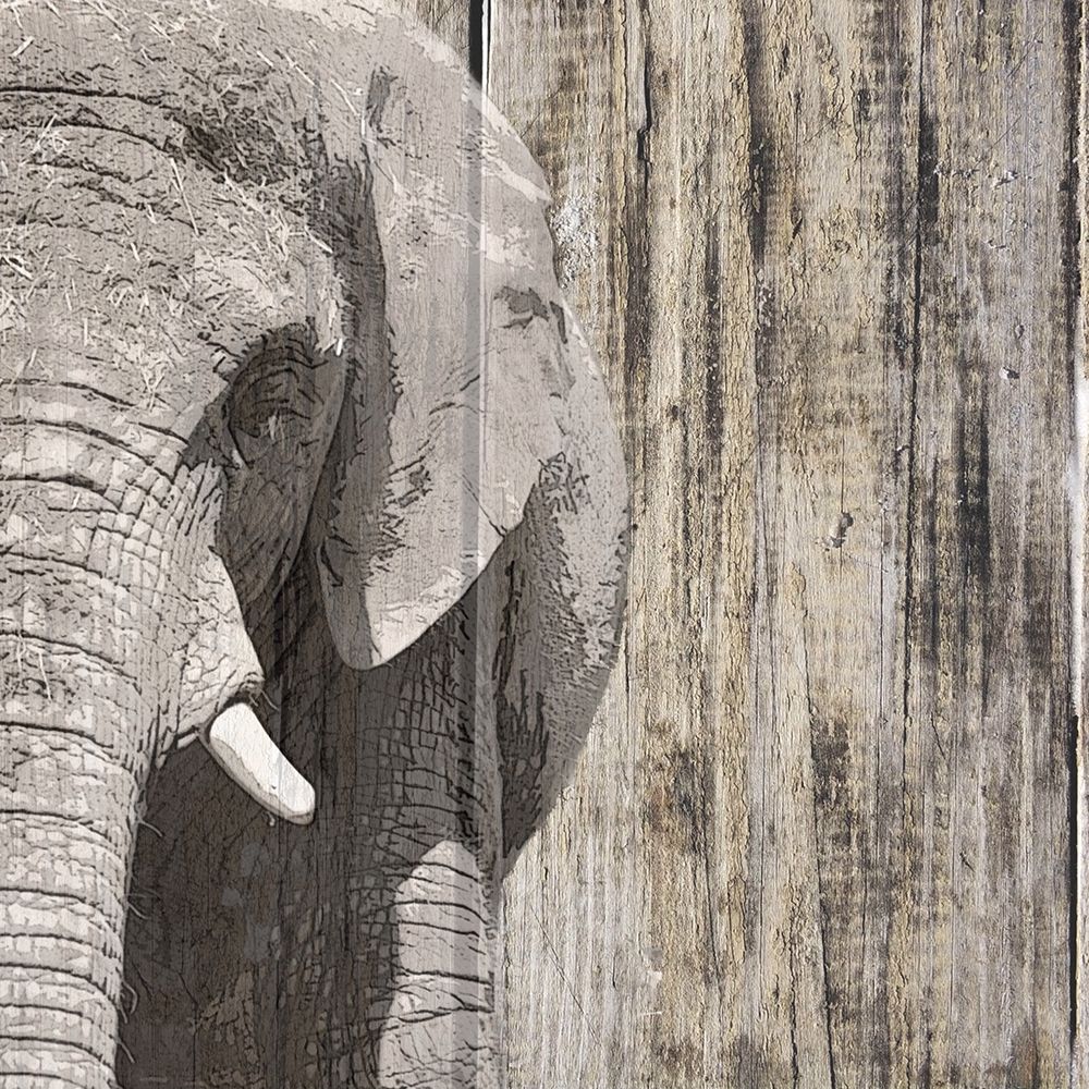 Wall Art Painting id:410724, Name: Wildheads Elephant, Artist: Smith, Karen
