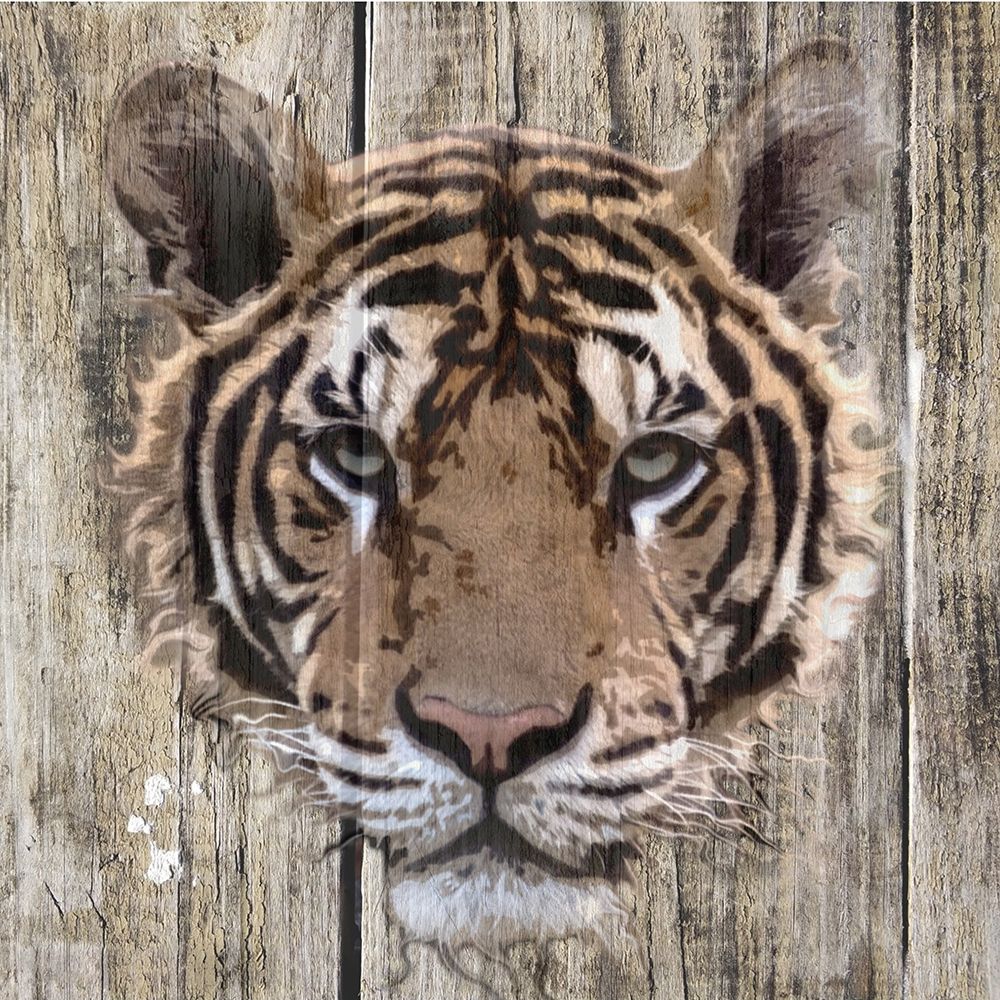 Wall Art Painting id:410725, Name: Wildheads Tiger, Artist: Smith, Karen