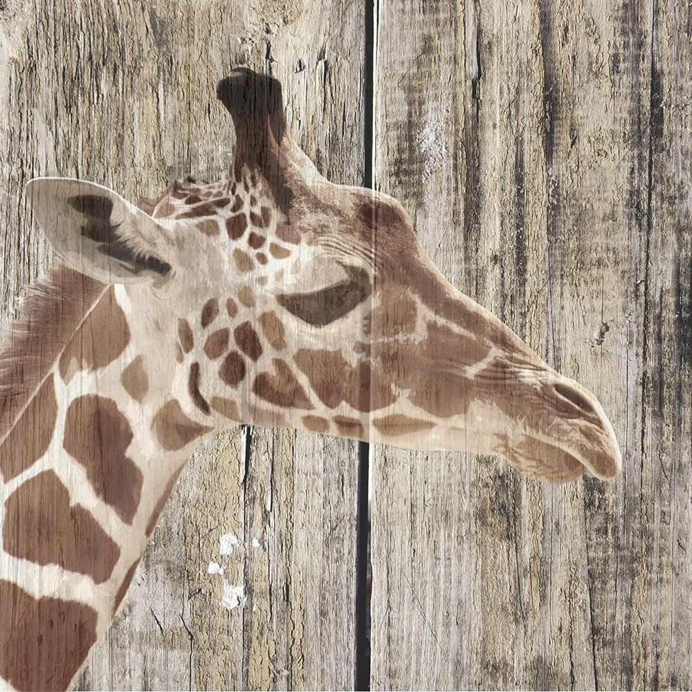 Wall Art Painting id:410728, Name: Wildheads Giraffe, Artist: Smith, Karen