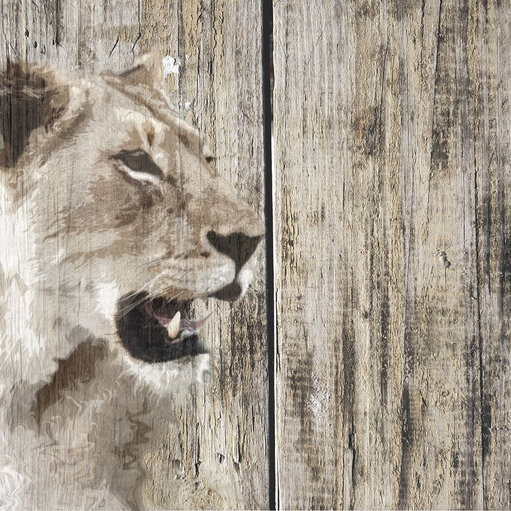 Wall Art Painting id:410729, Name: Wildheads Lioness, Artist: Smith, Karen