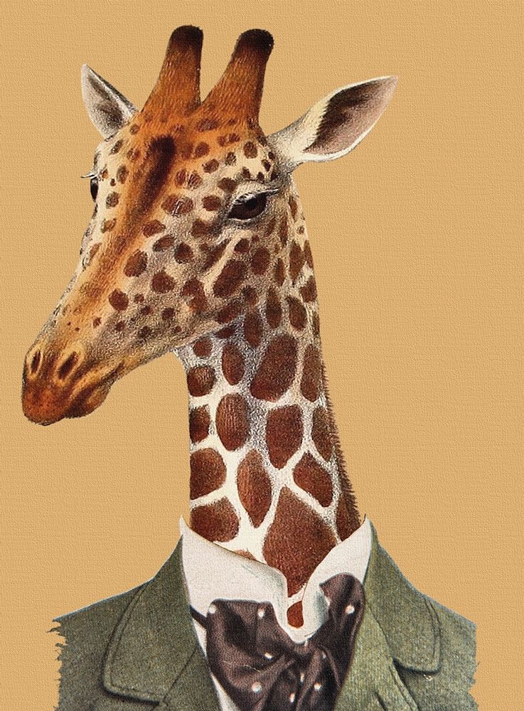 Wall Art Painting id:410763, Name: Posh Giraffe, Artist: Smith, Karen