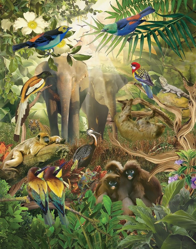 Wall Art Painting id:410890, Name: Jungle Mix IV, Artist: Hunziker, Steve