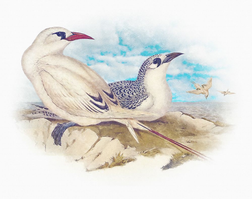 Similar wall art painting: 442779