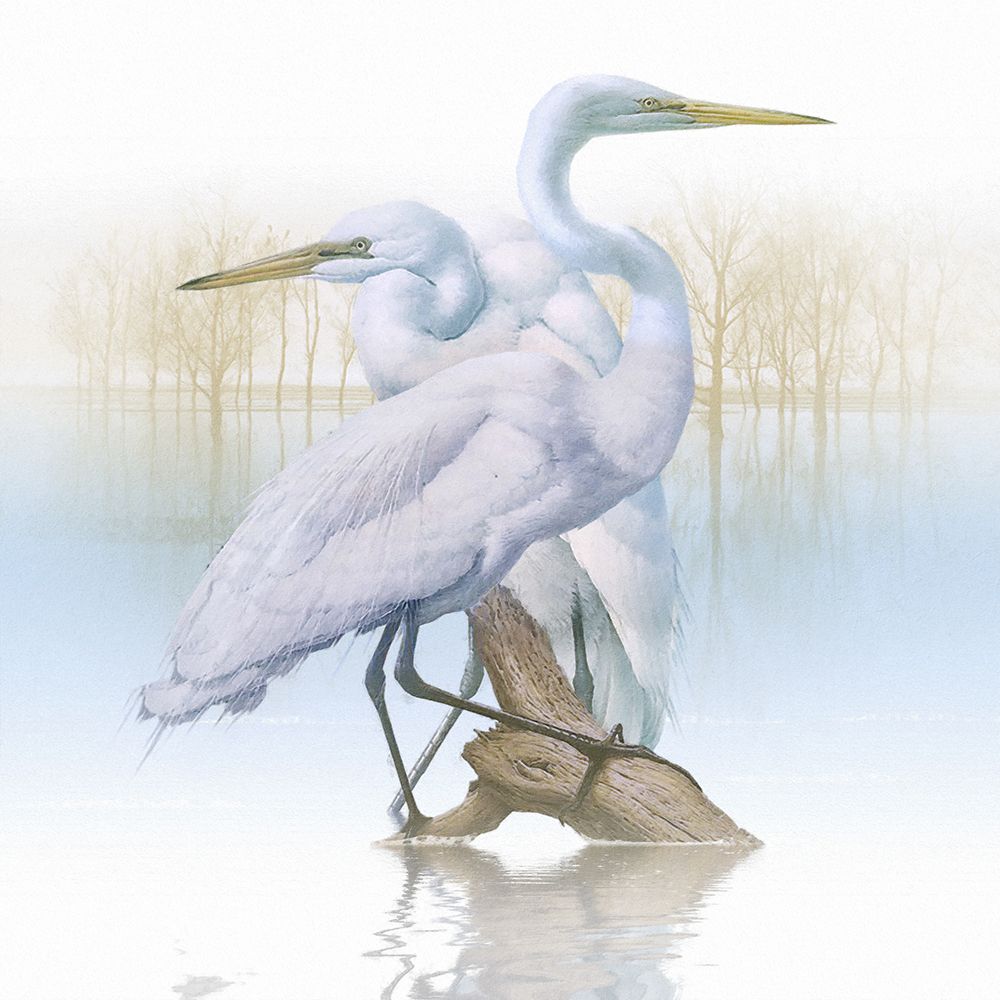 Similar wall art painting: 442799