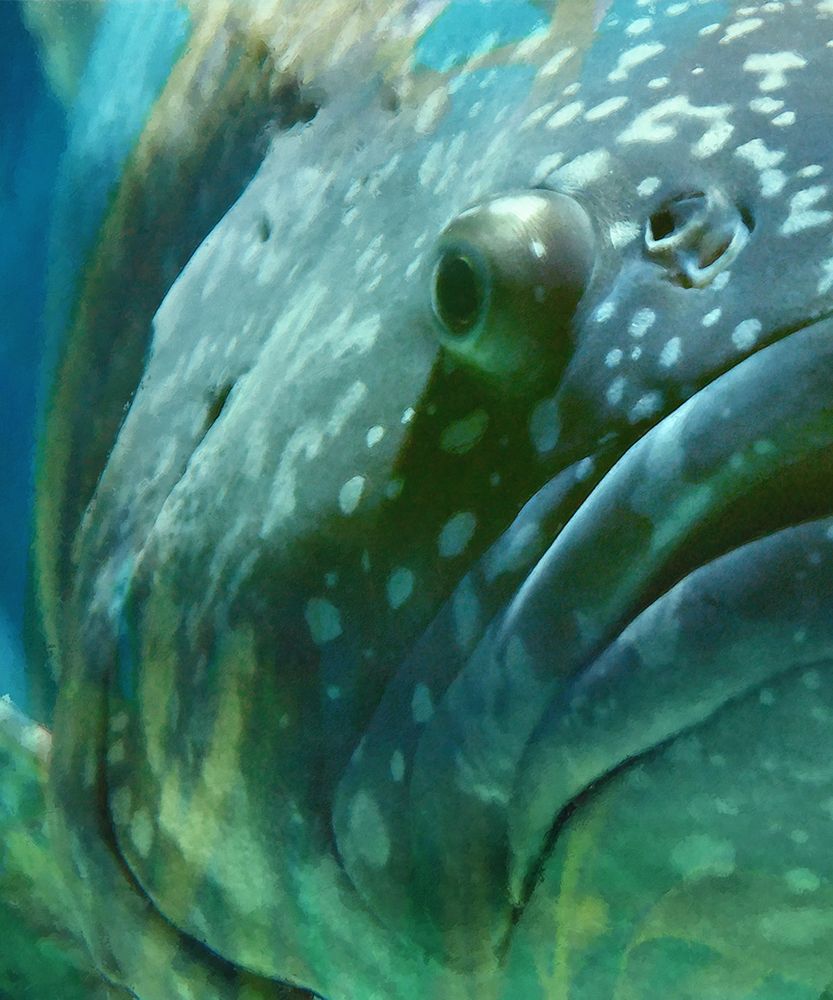 Similar wall art painting: 442840