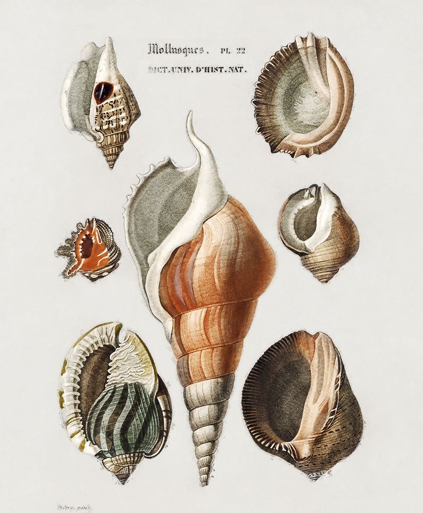 Similar wall art painting: 442855