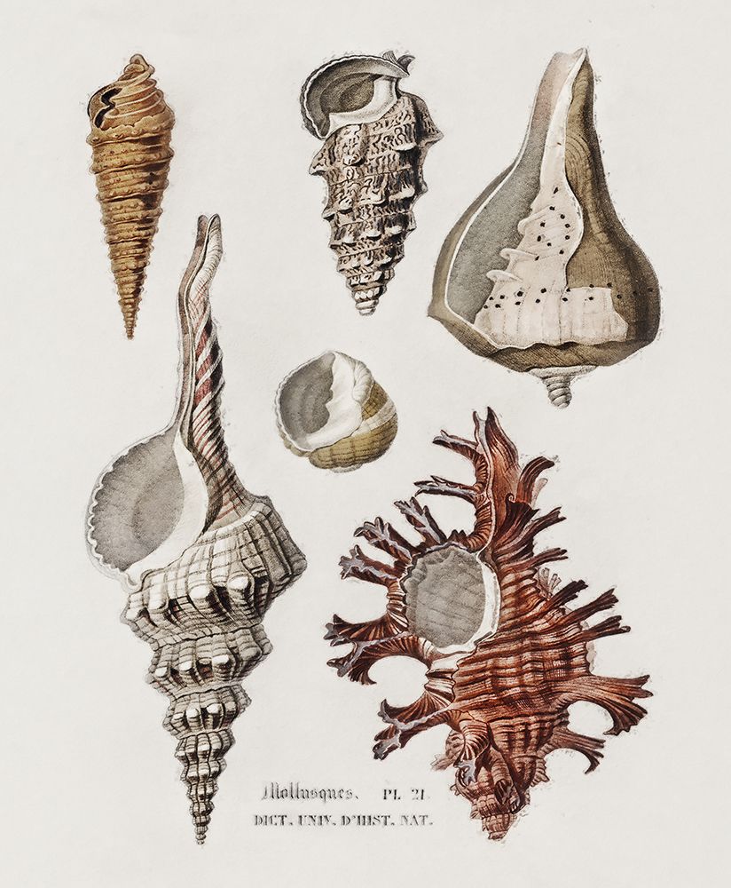 Similar wall art painting: 442856