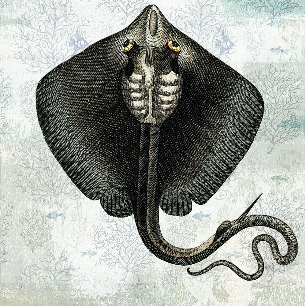 Wall Art Painting id:459929, Name: Oceaniana I, Artist: Smith, Karen