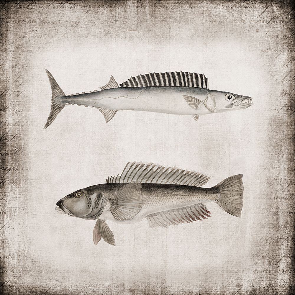 Wall art: Vintage Sea Dwellers I, by Haase, Andrea