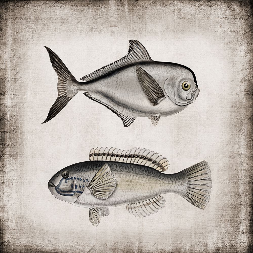 Wall art: Vintage Sea Dwellers II, by Haase, Andrea