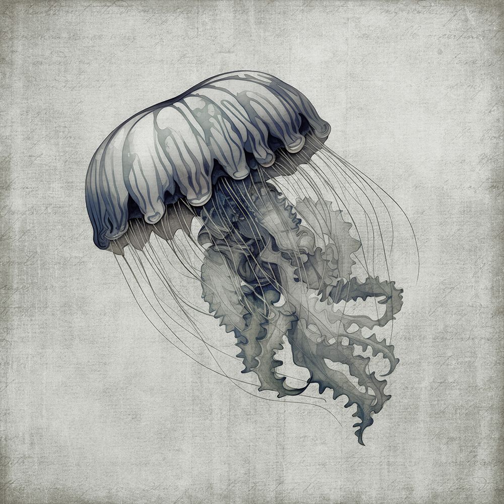 Wall art: Floating Ocean Beauty II, by Haase, Andrea