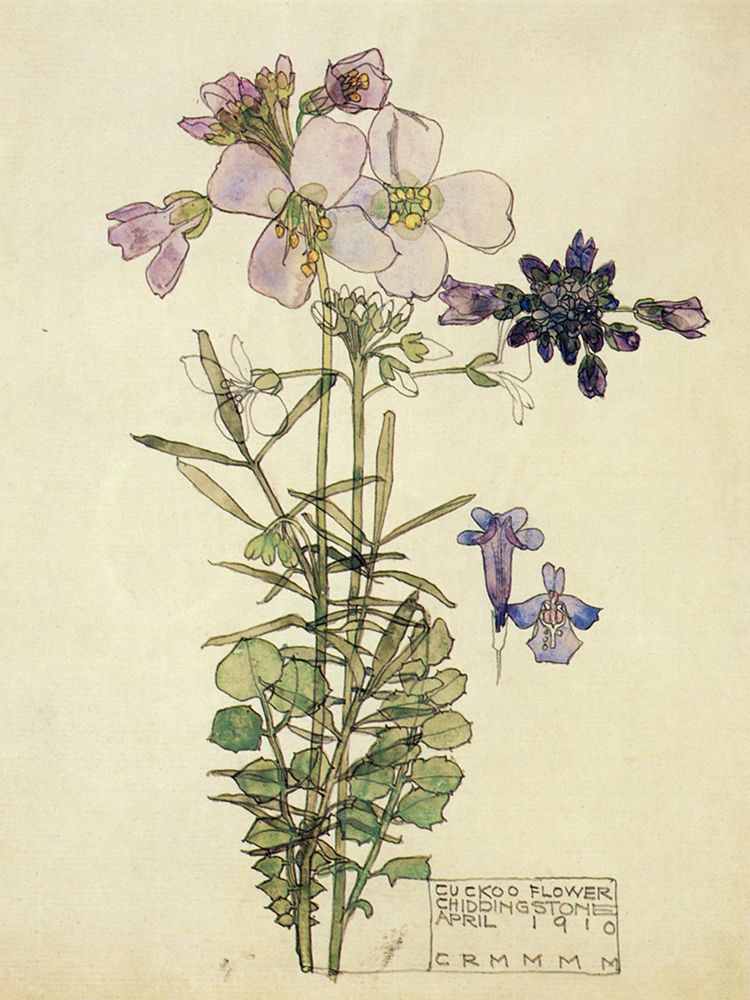 Wall Art Painting id:764666, Name: Cuckoo Flower, Chiddingstone 1910, Artist: Mackintosh, Charles Rennie