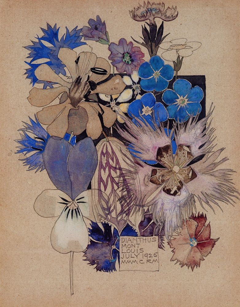 Wall Art Painting id:764667, Name: Dianthus, Mont Louis 1925, Artist: Mackintosh, Charles Rennie